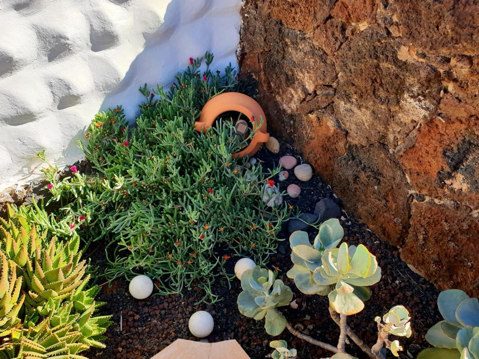 Casa Lirio Daire Costa Calma Dış mekan fotoğraf