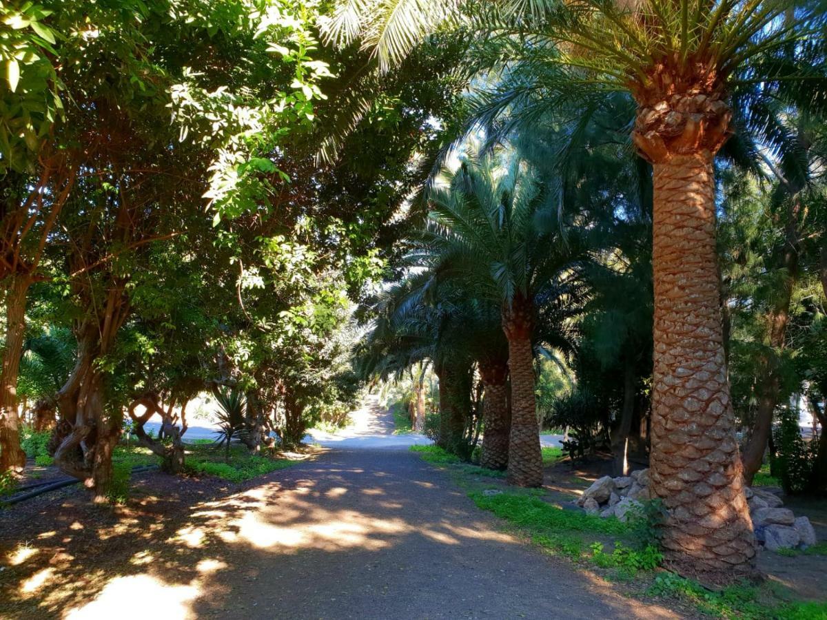 Casa Lirio Daire Costa Calma Dış mekan fotoğraf